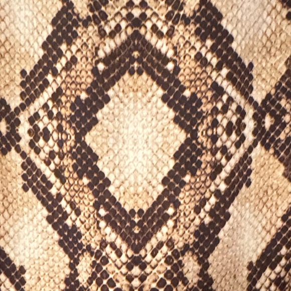 Cato Size Medium Snake Skin Peek a boo sleeve top w/ black trim on arms & collar - Picture 8 of 9